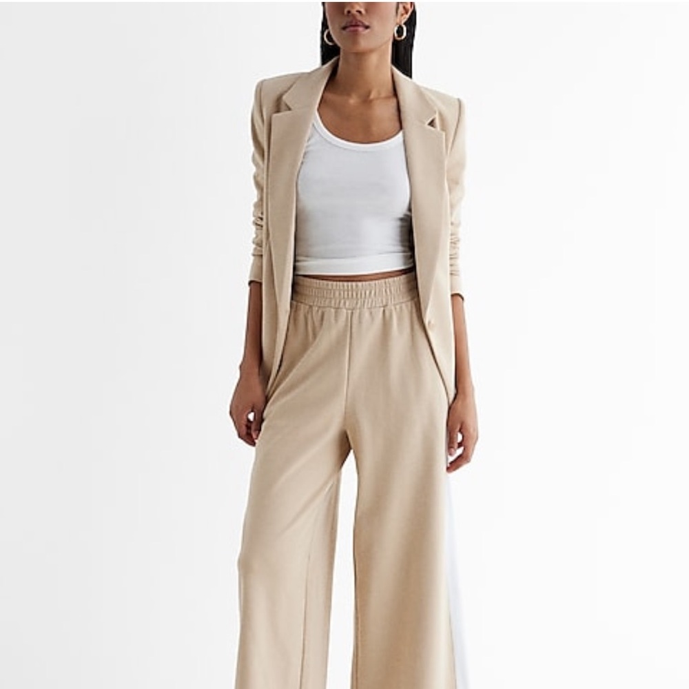 Express Chic Beige  Pants